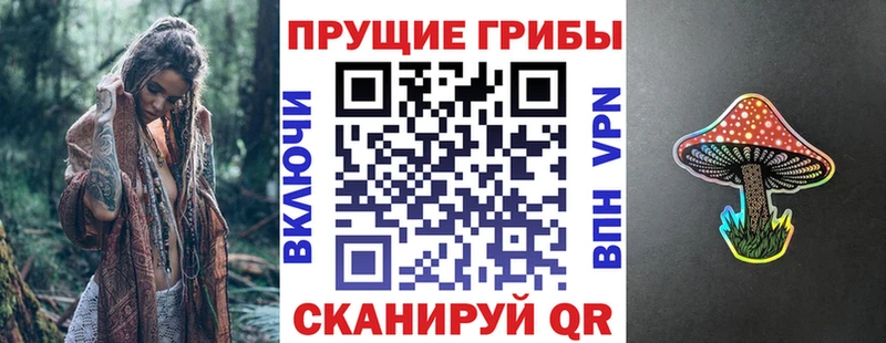 купить наркотики сайты  Кыштым  KRAKEN ONION  сайты даркнета наркотические препараты  Галлюциногенные грибы Magic Shrooms 